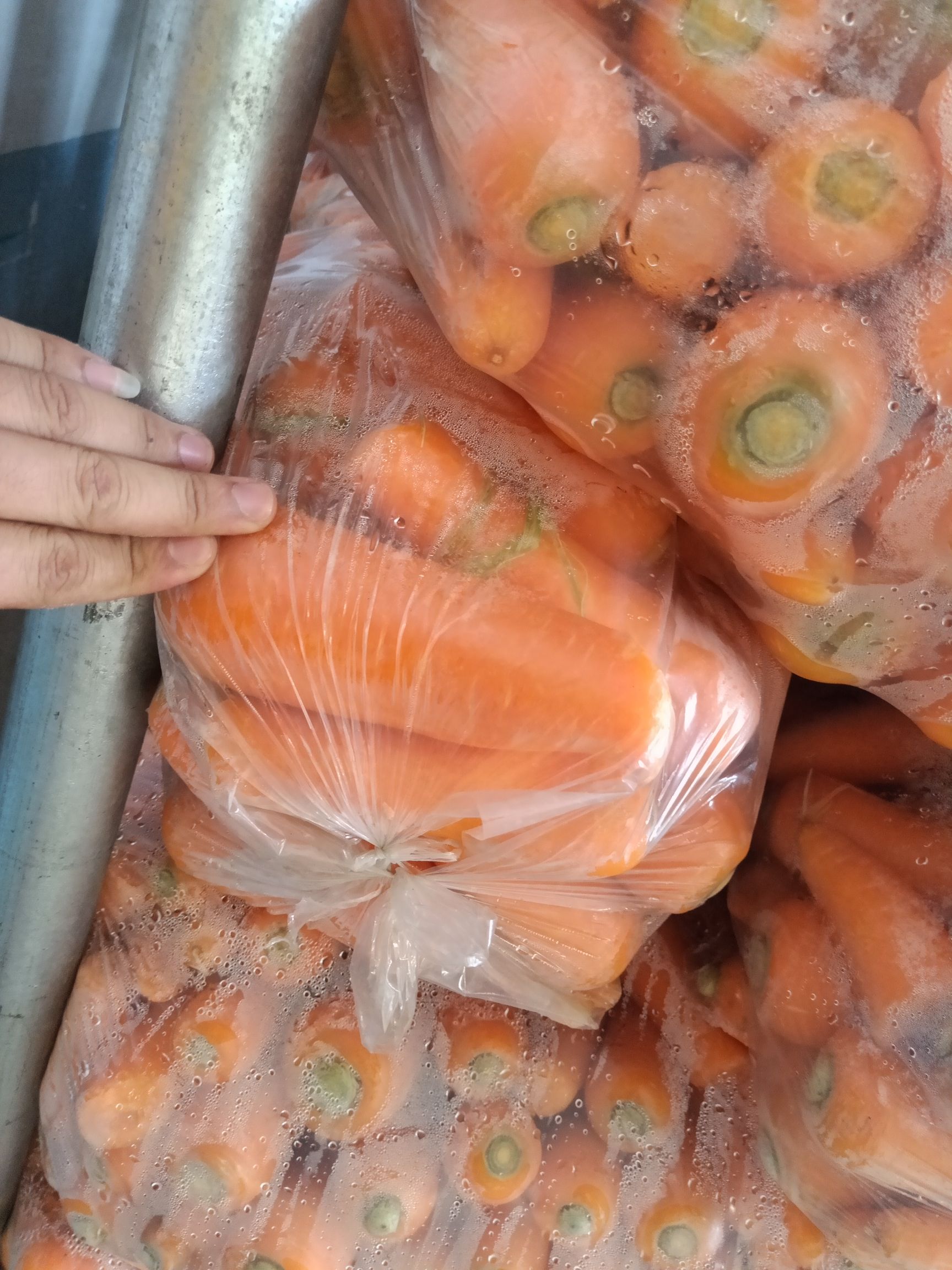 三红胡萝卜  次品胡萝卜，加工厂速冻，脱水，VF 专用