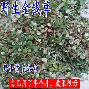 西充县 四川纯金钱草