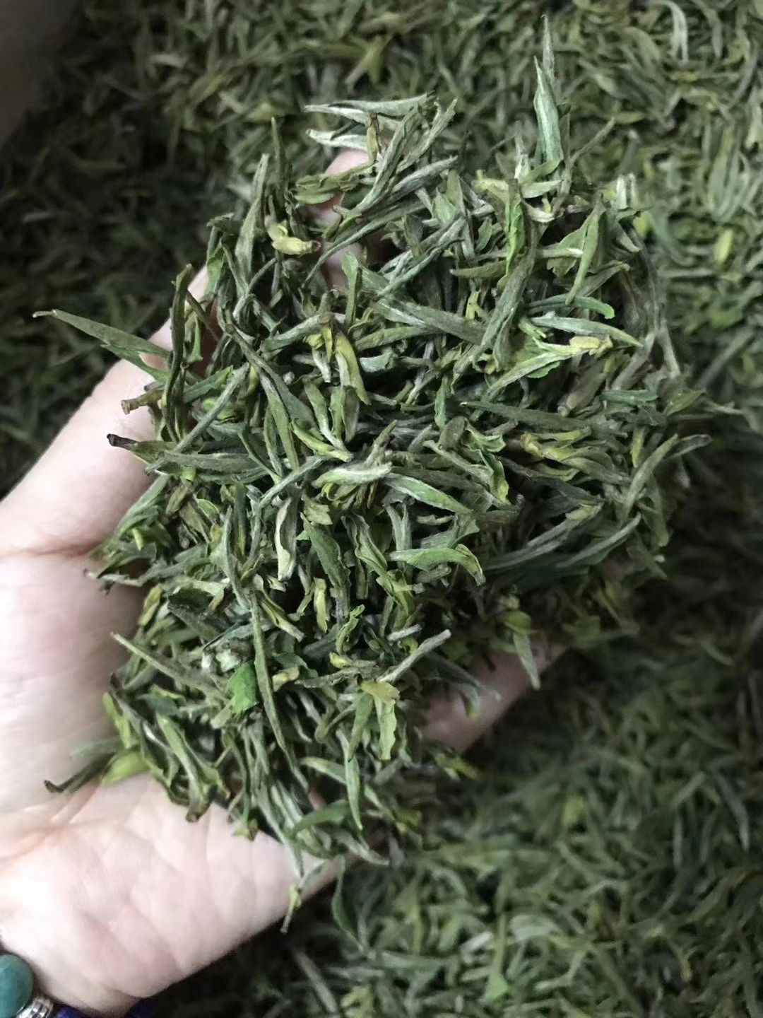  霍山黄芽，霍山黄茶，明前茶，谷雨前茶，高山茶