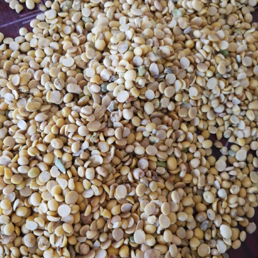 亳州黄豆瓣  色选安徽豆