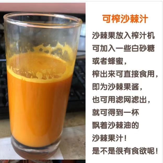 沙棘汁 沙棘原浆