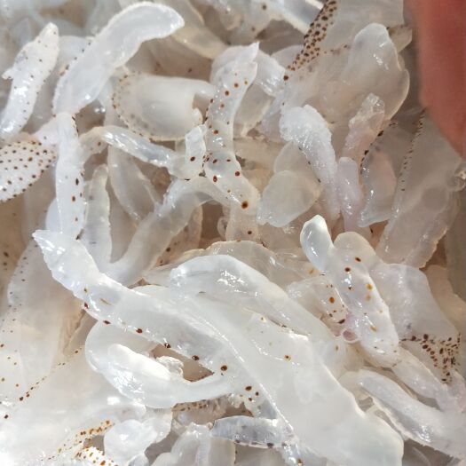 滨州海蜇丝，海蜇丝清脆可口