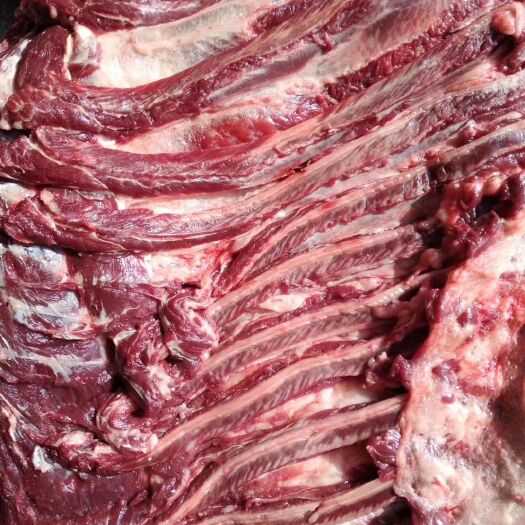 宁津县驴肉  鲜驴排 驴肋条