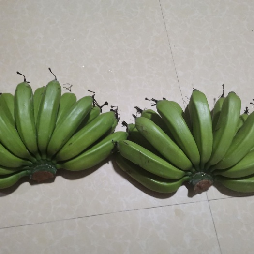 揭阳 香蕉，果肉味香，营养丰富，批发价1.5元/斤，欢迎联系