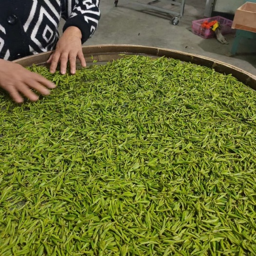 杭州龙井茶 aaa级安顶云雾茶