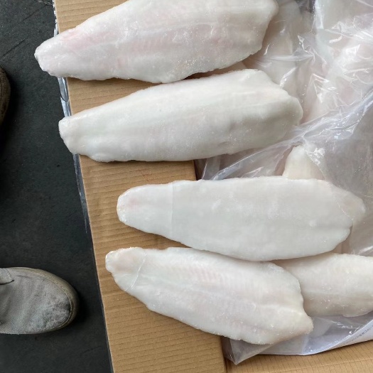 福州冷冻巴沙鱼 一手货源 巴沙鱼