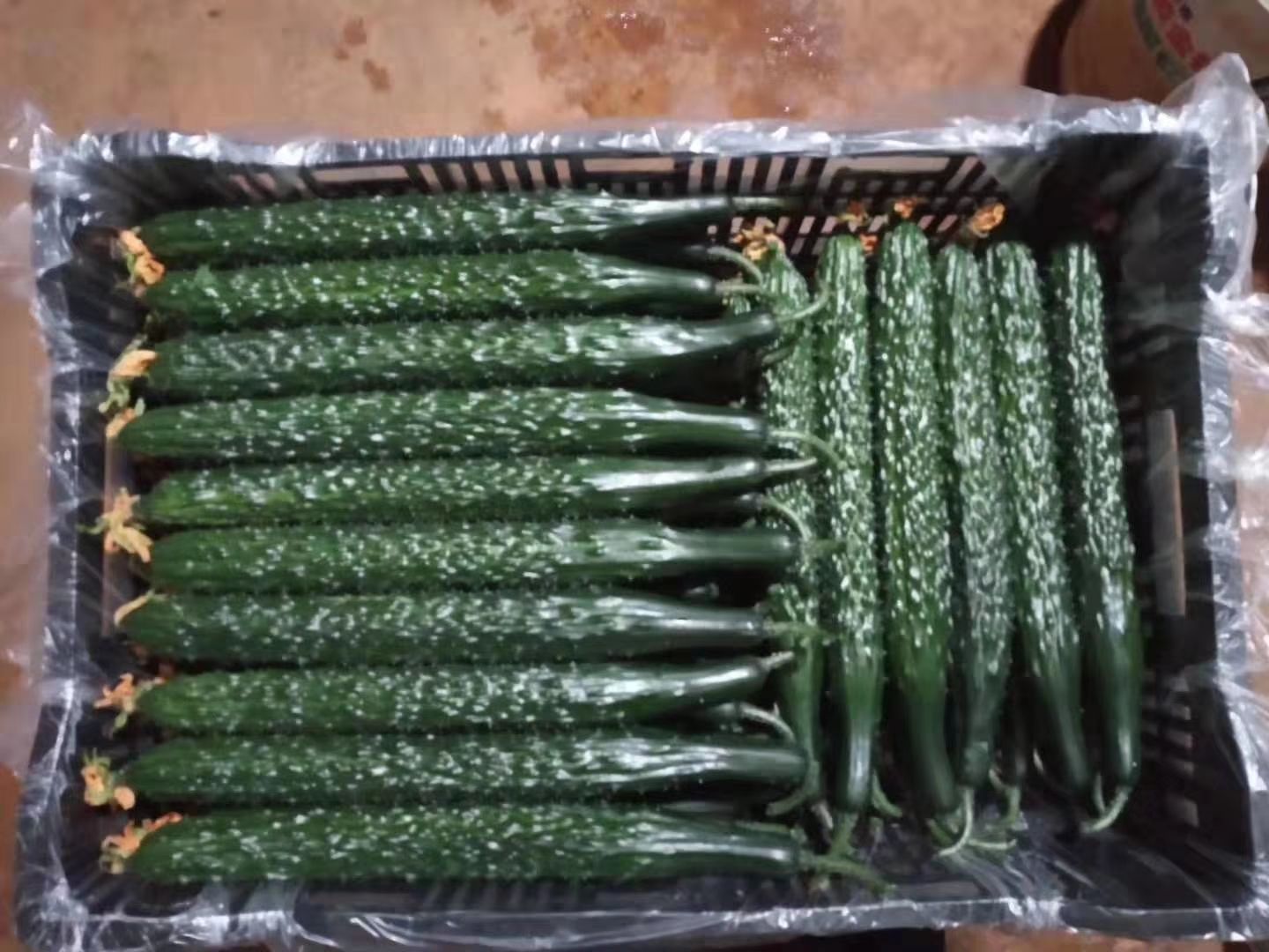  精品黄瓜