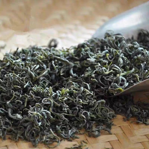 勉县 2020新茶 汉中明后炒青绿茶500g