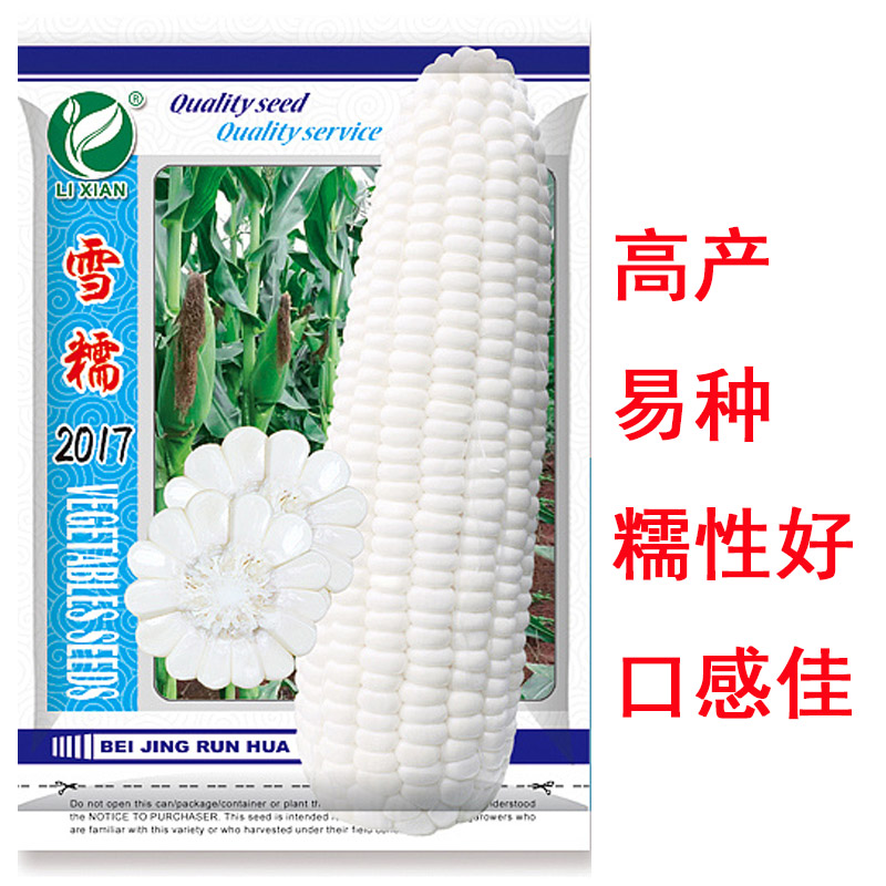 糯玉米种子 雪糯2017白糯玉米 高产 易种 糯性好