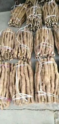 焦作垆土铁棍山药 新鲜采挖 皮红肉白 自家种植 不正宗不要