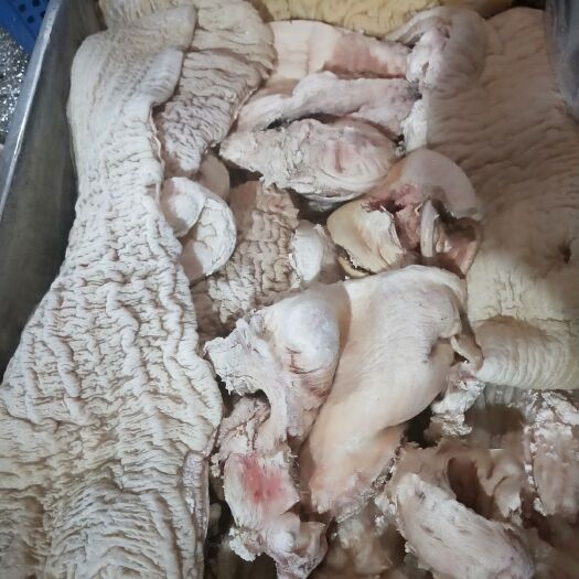 中牟县牛宽肠 散代，碗口
