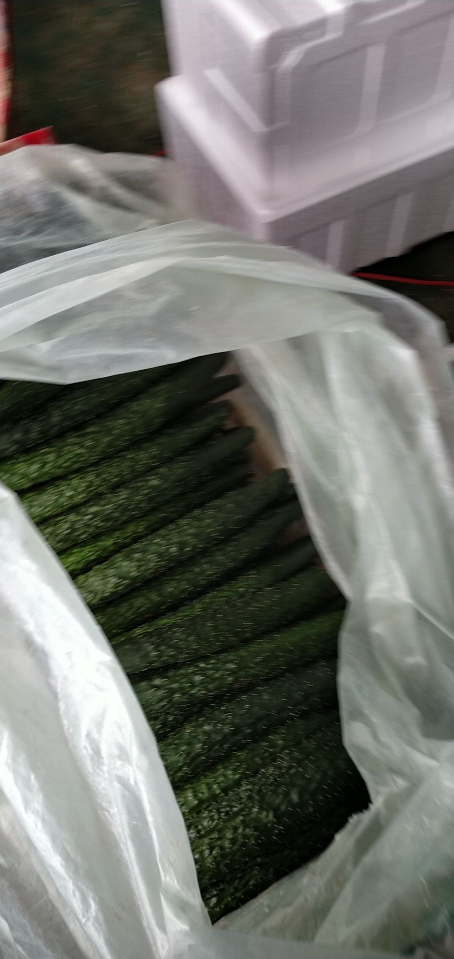  精品黄瓜