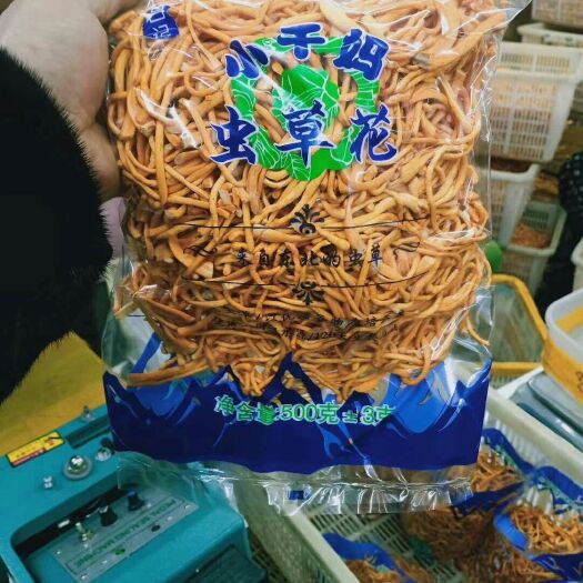 灯塔市人工培植虫草花  产地直销东北土特产，虫草花干货，鲜货，煲汤精品，食补，