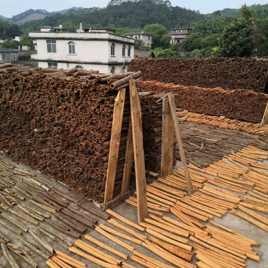 容县桶桂