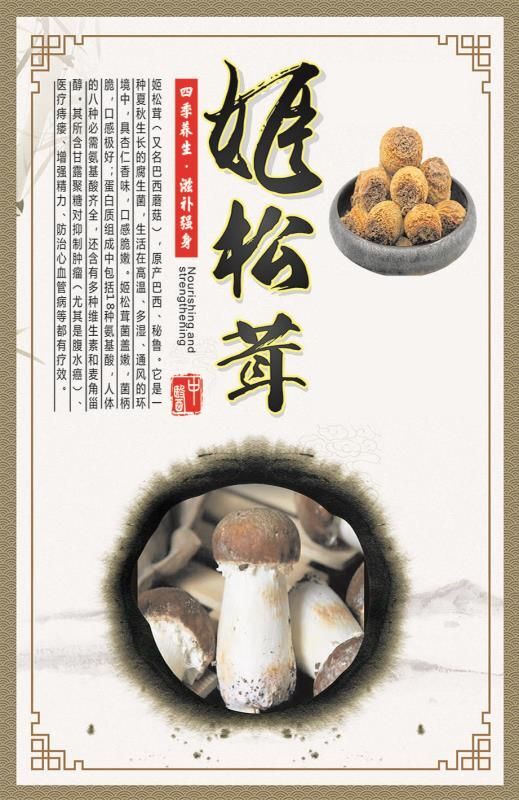 海城市 辽宁林下种植姬松茸