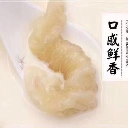 湛江鱼胶 泡发小龙胶即用巴沙胶酒席专用胶