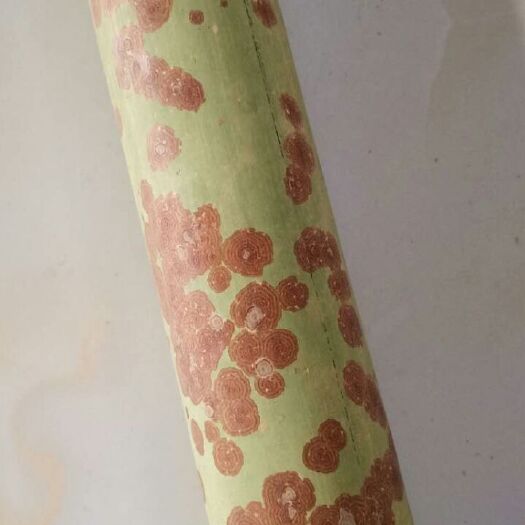 元阳县 我有花纹竹子，有需要的请联系我，