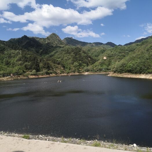 平山县生态园林  生态公园旅游开发服务