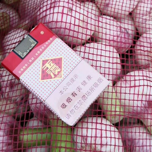 郸城县紫皮大蒜 蒜