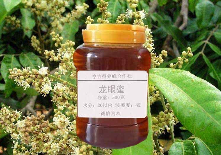 合肥野生蜂蜜 龙眼蜜