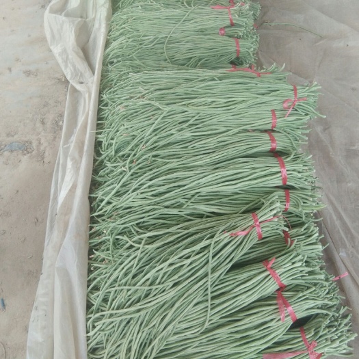 莘县 大量供应产地长豆角上市