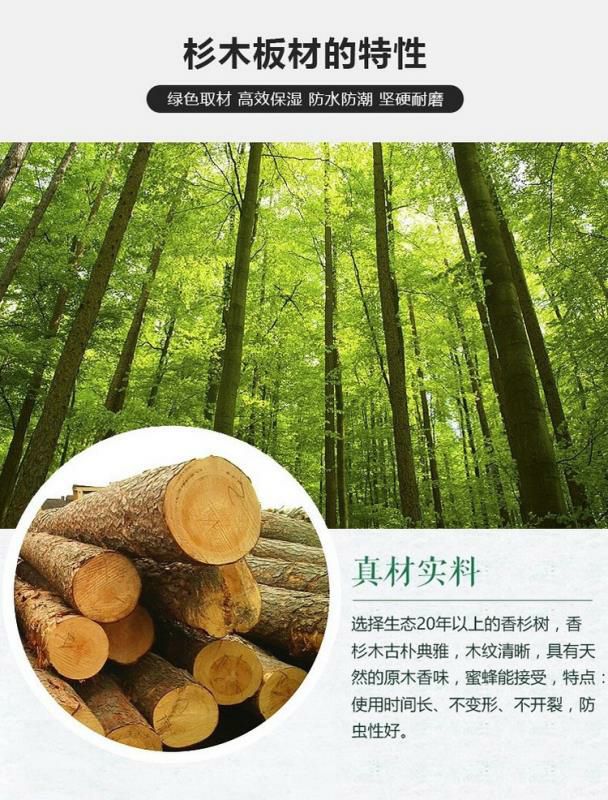 活框蜂箱  包邮厂家直销全杉木十框优良中蜂蜂箱养蜂工具
