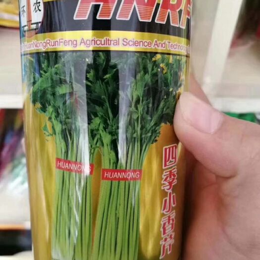 夏邑县香芹种子 环农四级小香芹
