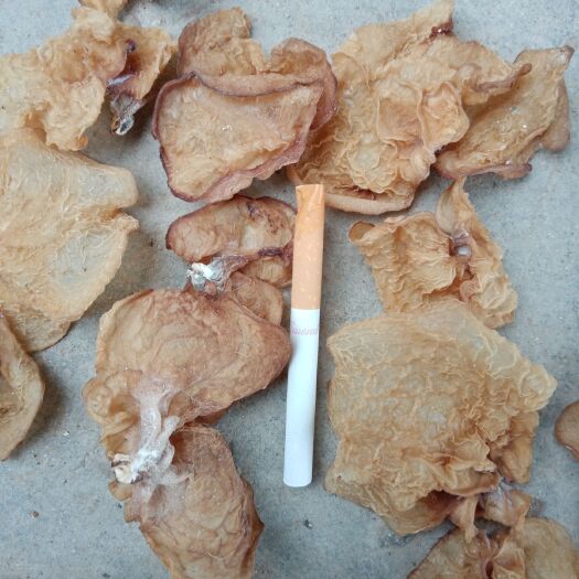 鱼台县羊肚耳
