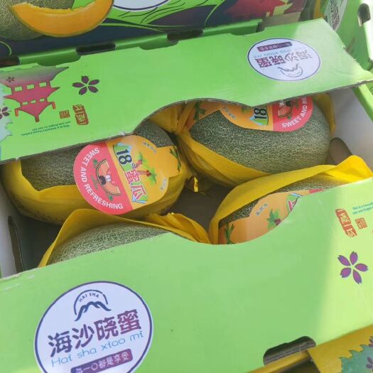 海南25号 诚信代办，互利共赢，只做好品质