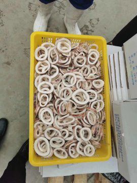 荣成市 精品鱿鱼圈