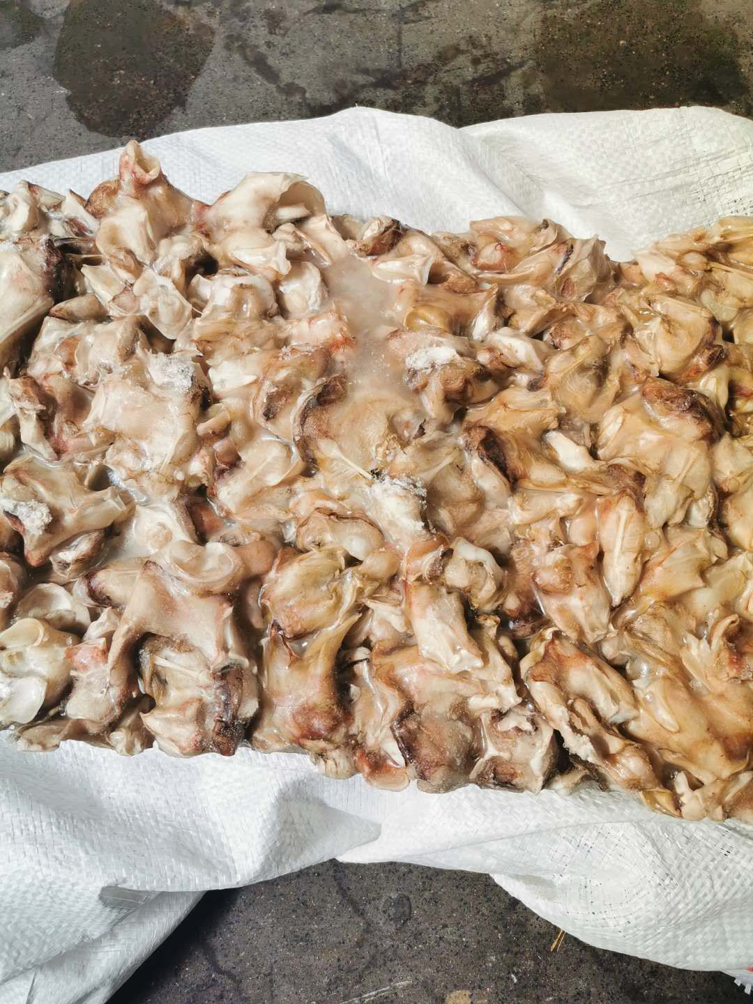  鱿鱼脖