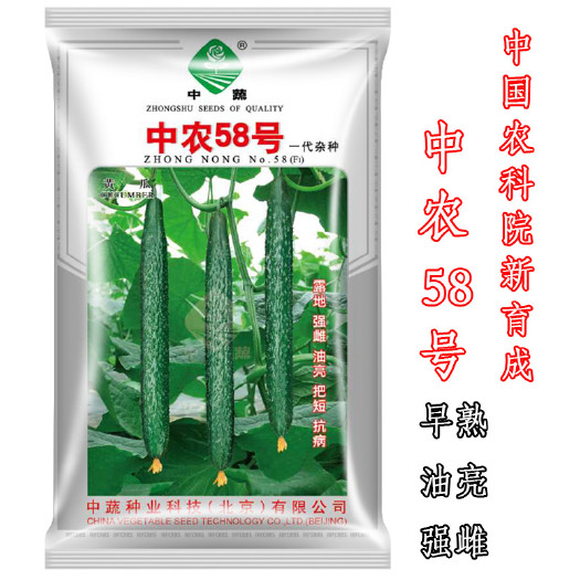 广州 中农58号黄瓜种子 中蔬牌品种 油亮刺密 瓜码密 高产
