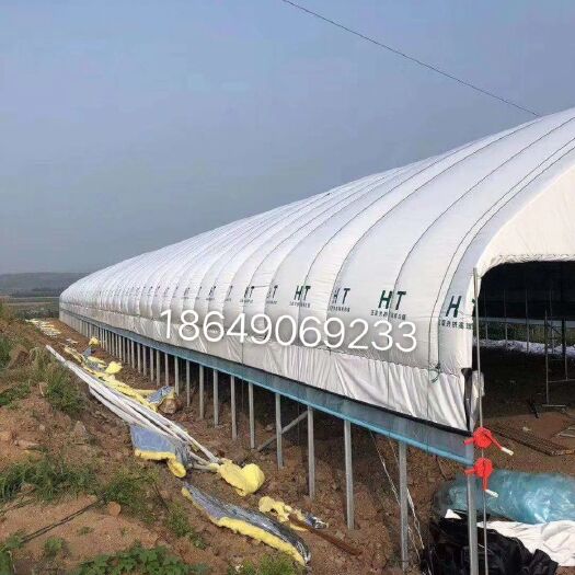天津热镀锌蔬菜大棚 新式养殖大棚