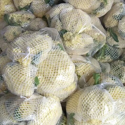 莘县有机花菜 有机菜花