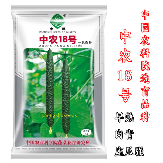广州 中农18号黄瓜种子 中蔬牌黄瓜品种 强雌 肉绿 春秋茬口种植