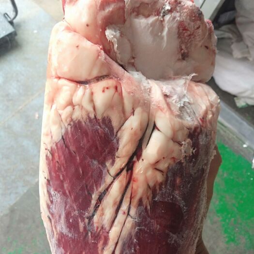 阳信县 牛心牛鞭宝