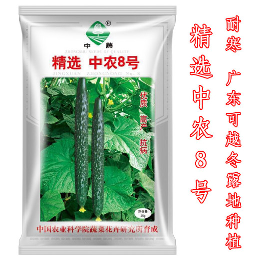 广州 精选中农8号黄瓜种子 中蔬牌黄瓜品种 耐寒性好