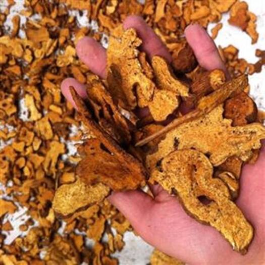  生白术炒白术
