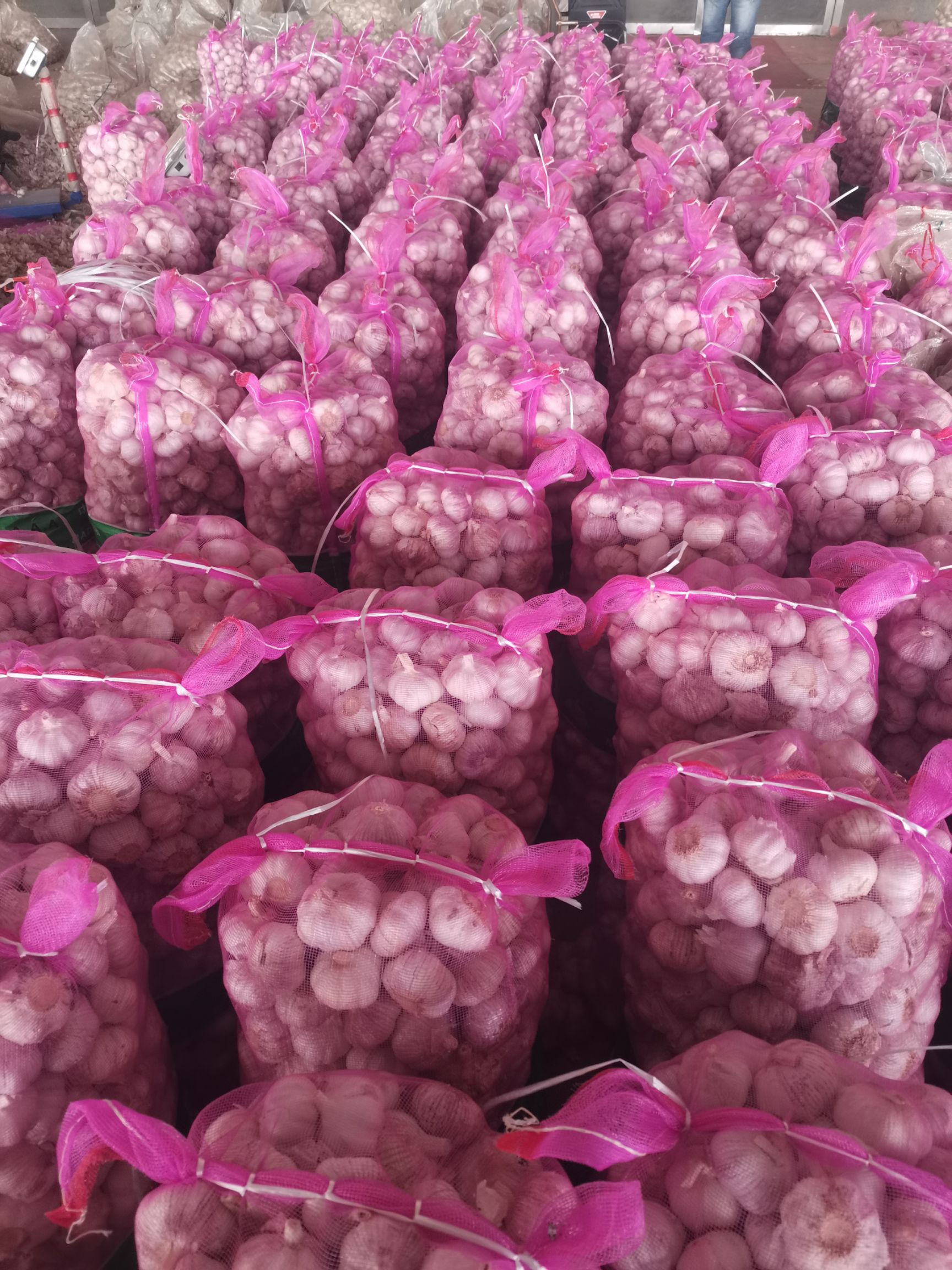 红皮蒜  金乡优质大蒜