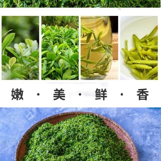 利川市山楂芽叶茶 风茗茶叶