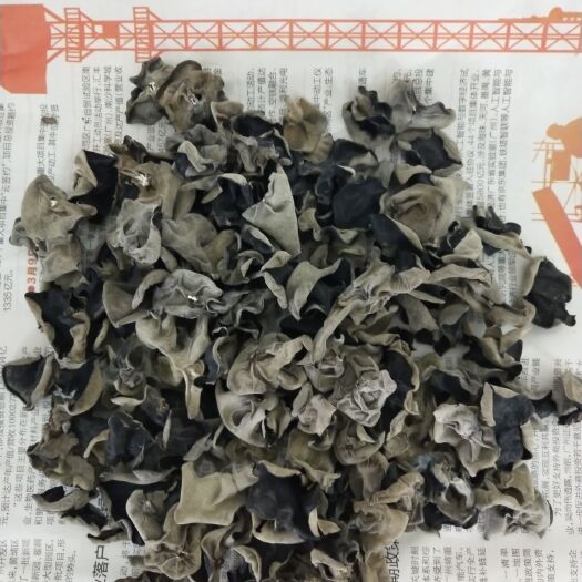 西乡县 陕西安康正宗上品黑木耳