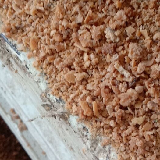 许昌糟渣饲料 腐竹浆下脚料，蛋白28-30