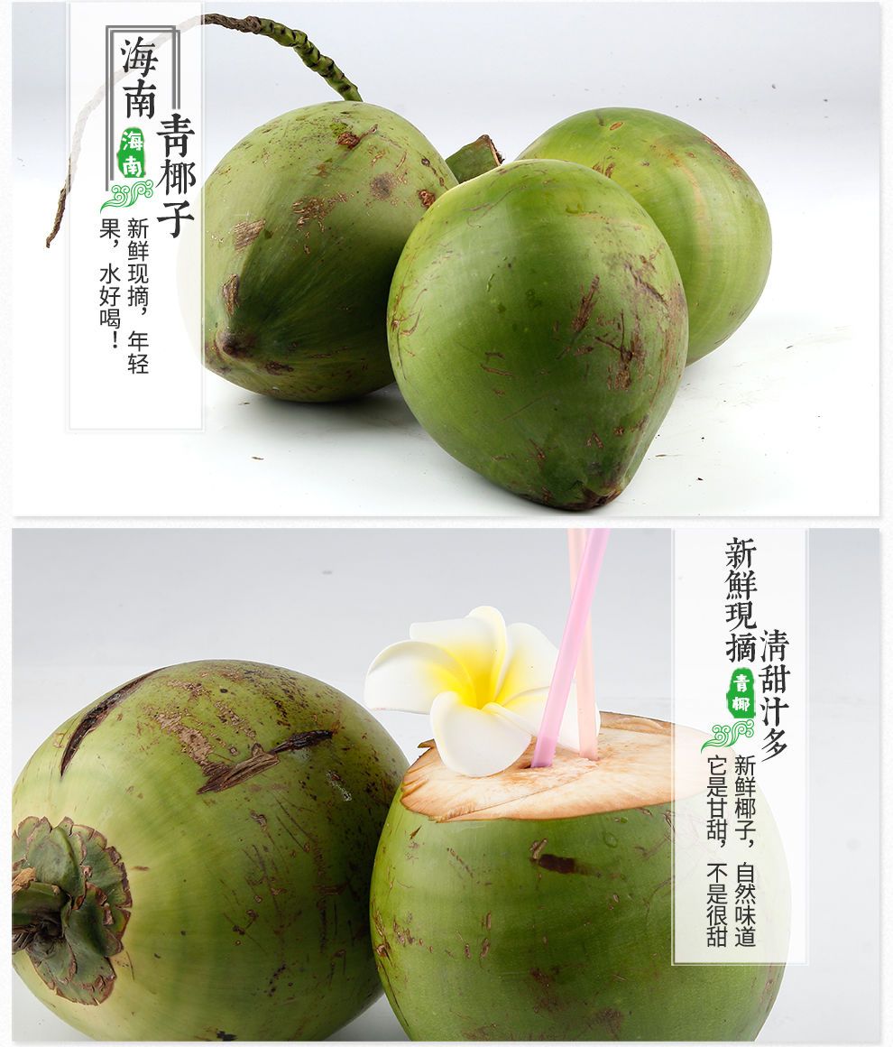 椰子  海南椰青:厂家直销:整车批发:(九个装)