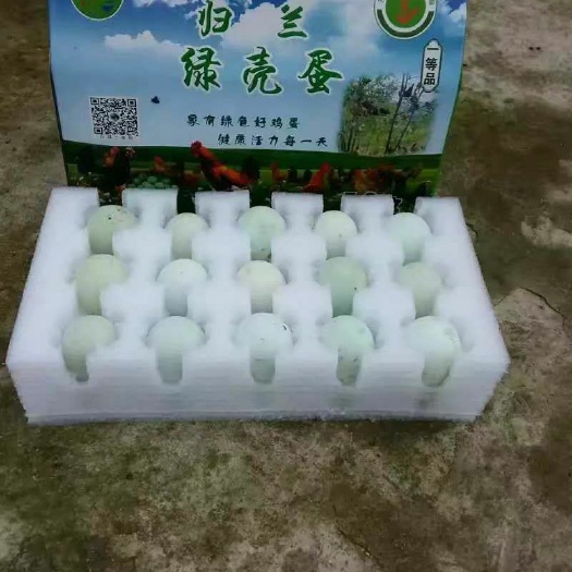 都匀市 天天吃大蒜的鸡蛋，有无公害认证的绿壳土鸡蛋。