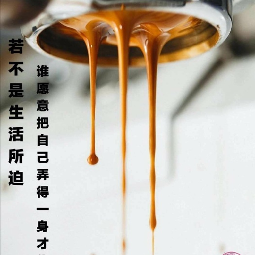 灵宝市草本咖啡豆 6-12个月