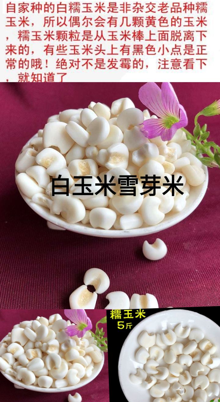 糯玉米水果粘玉米 白玉米雪芽米脱皮白玉米米雪芽米5斤装包邮