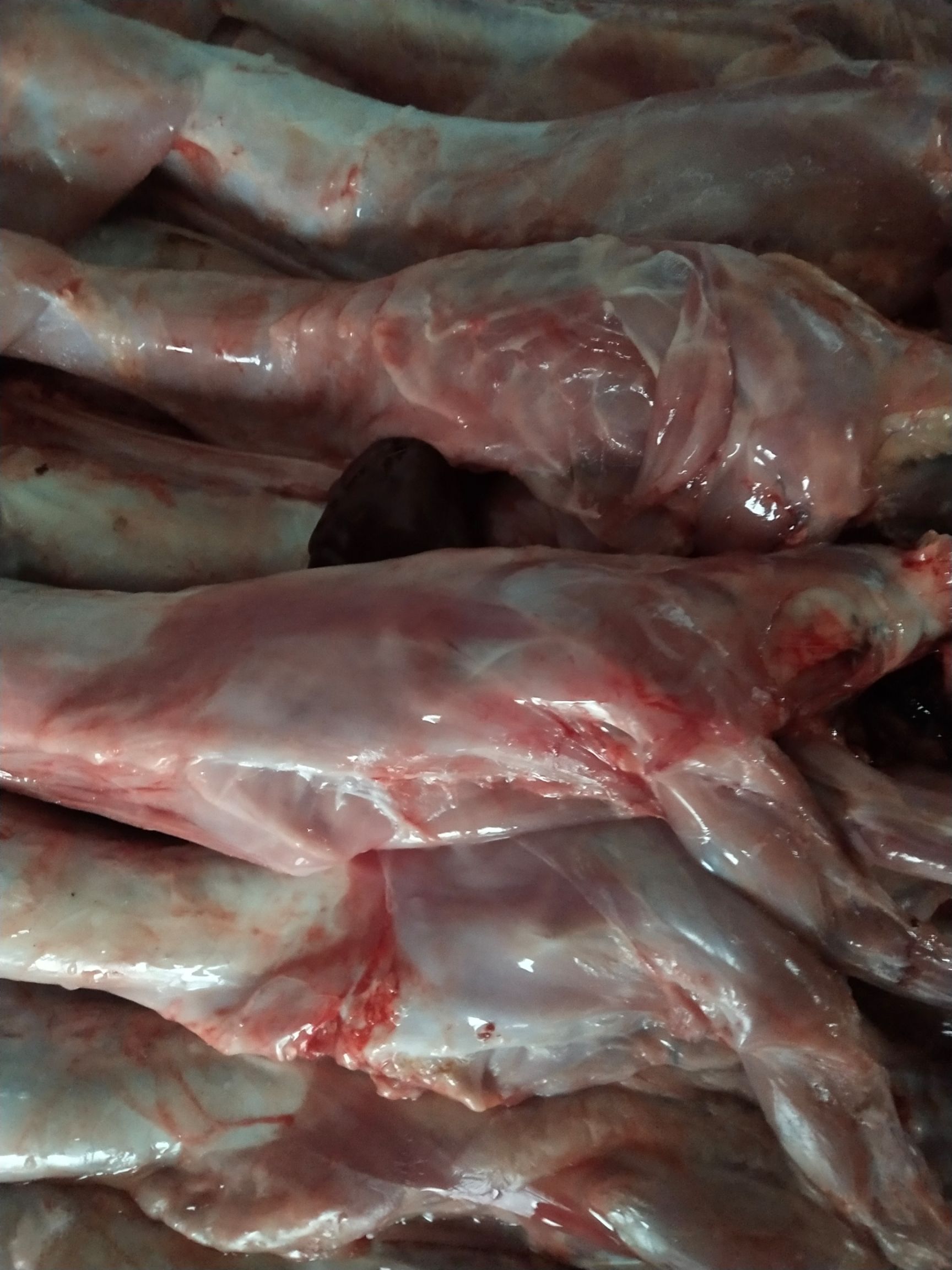 兔肉类  鲜兔肉新鲜兔肉散养现杀速冻后发货2只起整只兔肉生兔