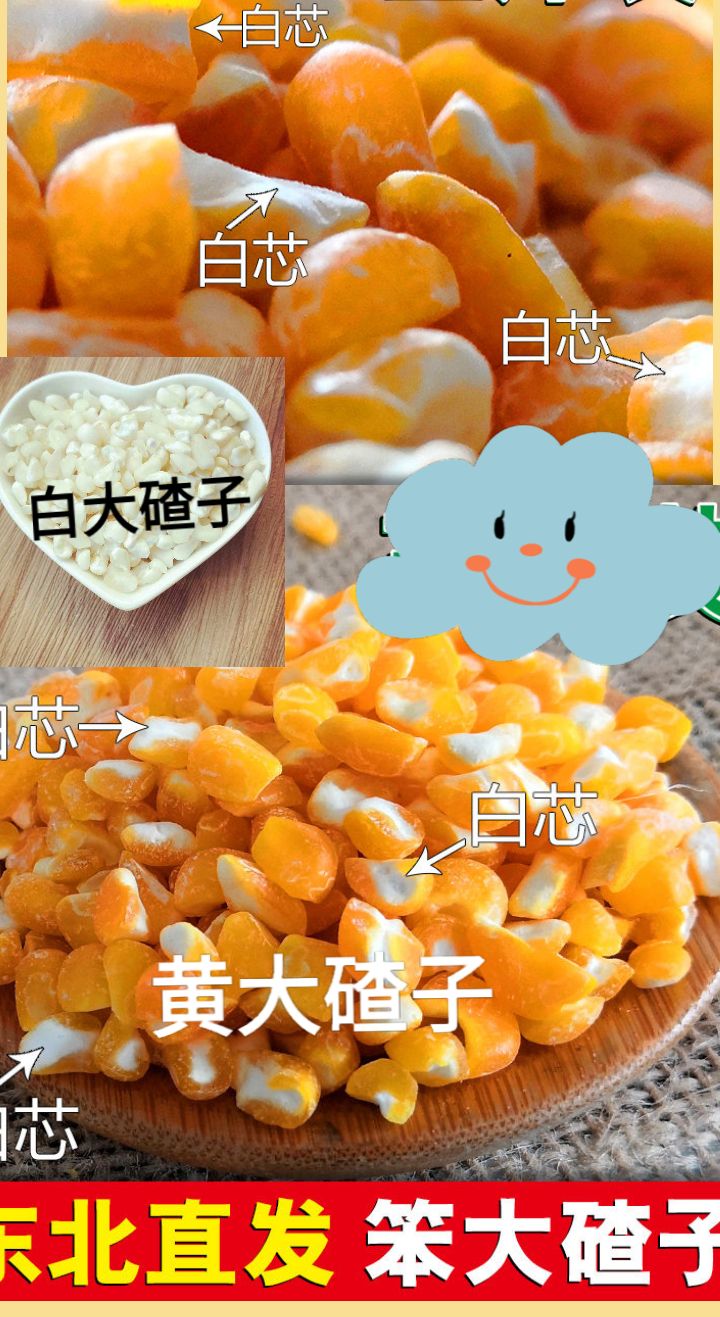 紫玉米粒  紫玉米中粒熬粥紫玉米花青素含量高紫玉米5斤一袋包