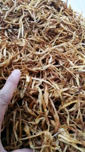 祁东优质黄花菜干货产地直销蔬菜类菜品新鲜天然