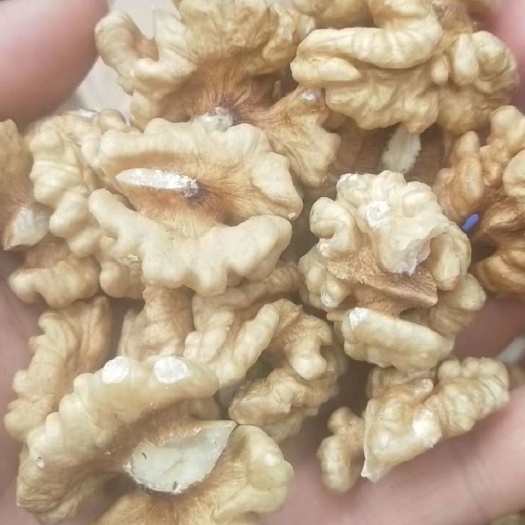 洛南县185核桃仁尖白头路.、